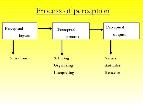 What Type of Music Is Tool and Its Related Perceptions